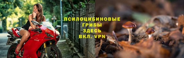 МДПВ Абдулино