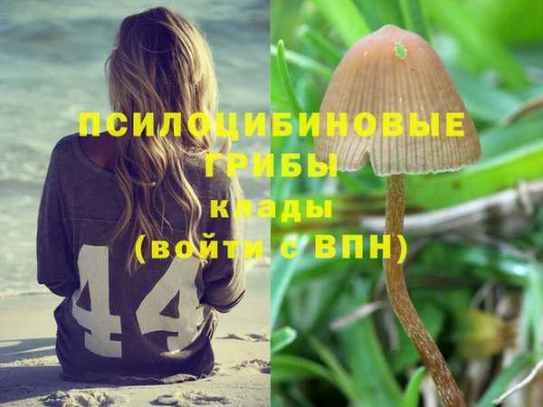 МДПВ Абдулино