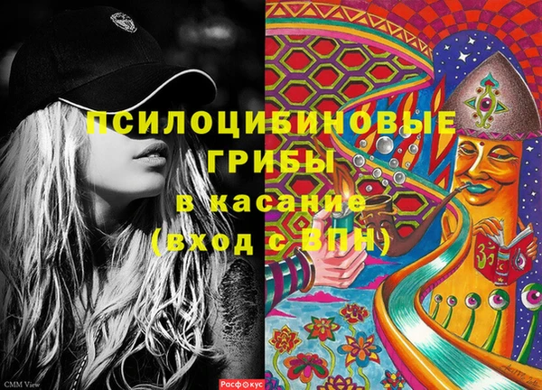 spice Абинск