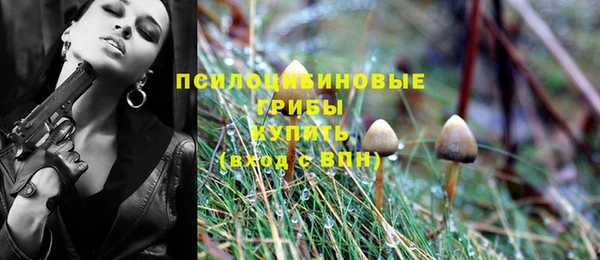 МДПВ Абдулино