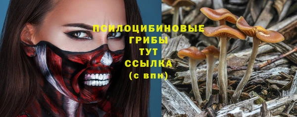 spice Абинск