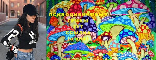 бошки Ростов