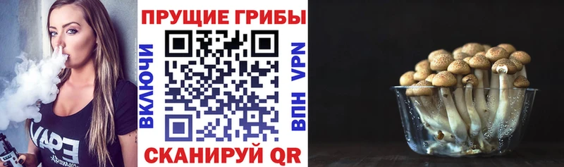 Псилоцибиновые грибы GOLDEN TEACHER Исилькуль